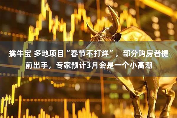 擒牛宝 多地项目“春节不打烊”，部分购房者提前出手，专家预计3月会是一个小高潮