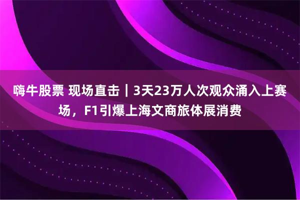 嗨牛股票 现场直击｜3天23万人次观众涌入上赛场，F1引爆上海文商旅体展消费