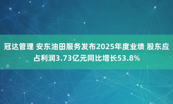 冠达管理 安东油田服务发布2025年度业绩 股东应占利润3.73亿元同比增长53.8%