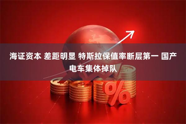 海证资本 差距明显 特斯拉保值率断层第一 国产电车集体掉队