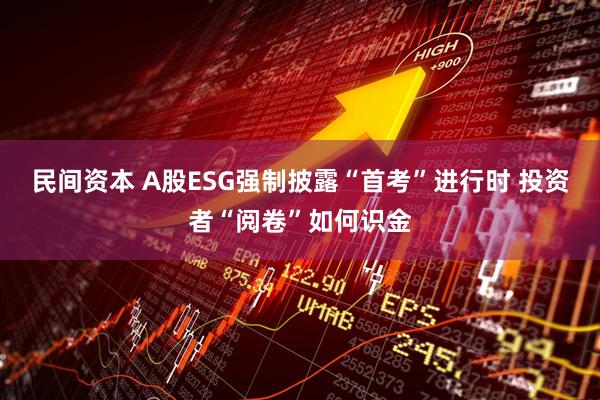 民间资本 A股ESG强制披露“首考”进行时 投资者“阅卷”如何识金