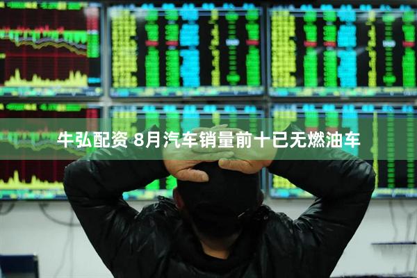 牛弘配资 8月汽车销量前十已无燃油车