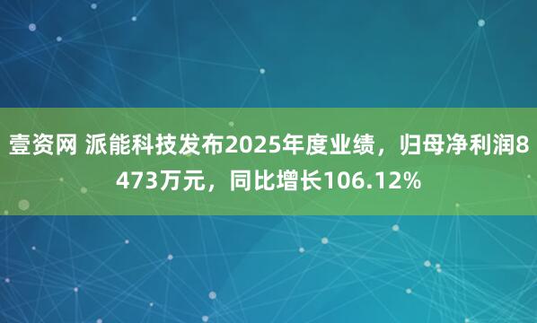 壹资网 派能科技发布2025年度业绩，归母净利润8473万元，同比增长106.12%