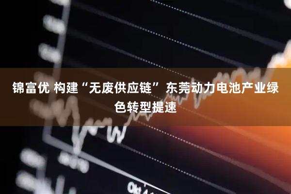 锦富优 构建“无废供应链” 东莞动力电池产业绿色转型提速