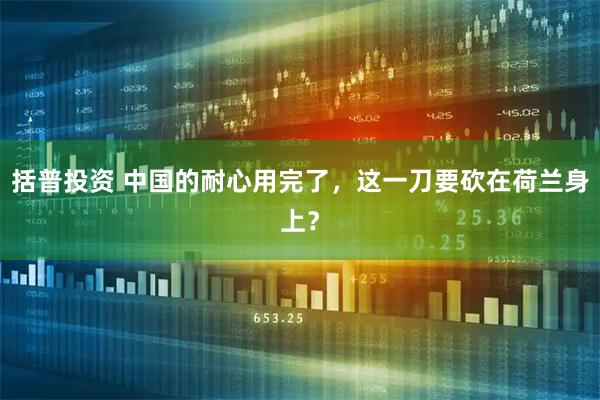括普投资 中国的耐心用完了，这一刀要砍在荷兰身上？