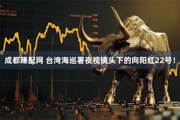 成都赚配网 台湾海巡署夜视镜头下的向阳红22号！